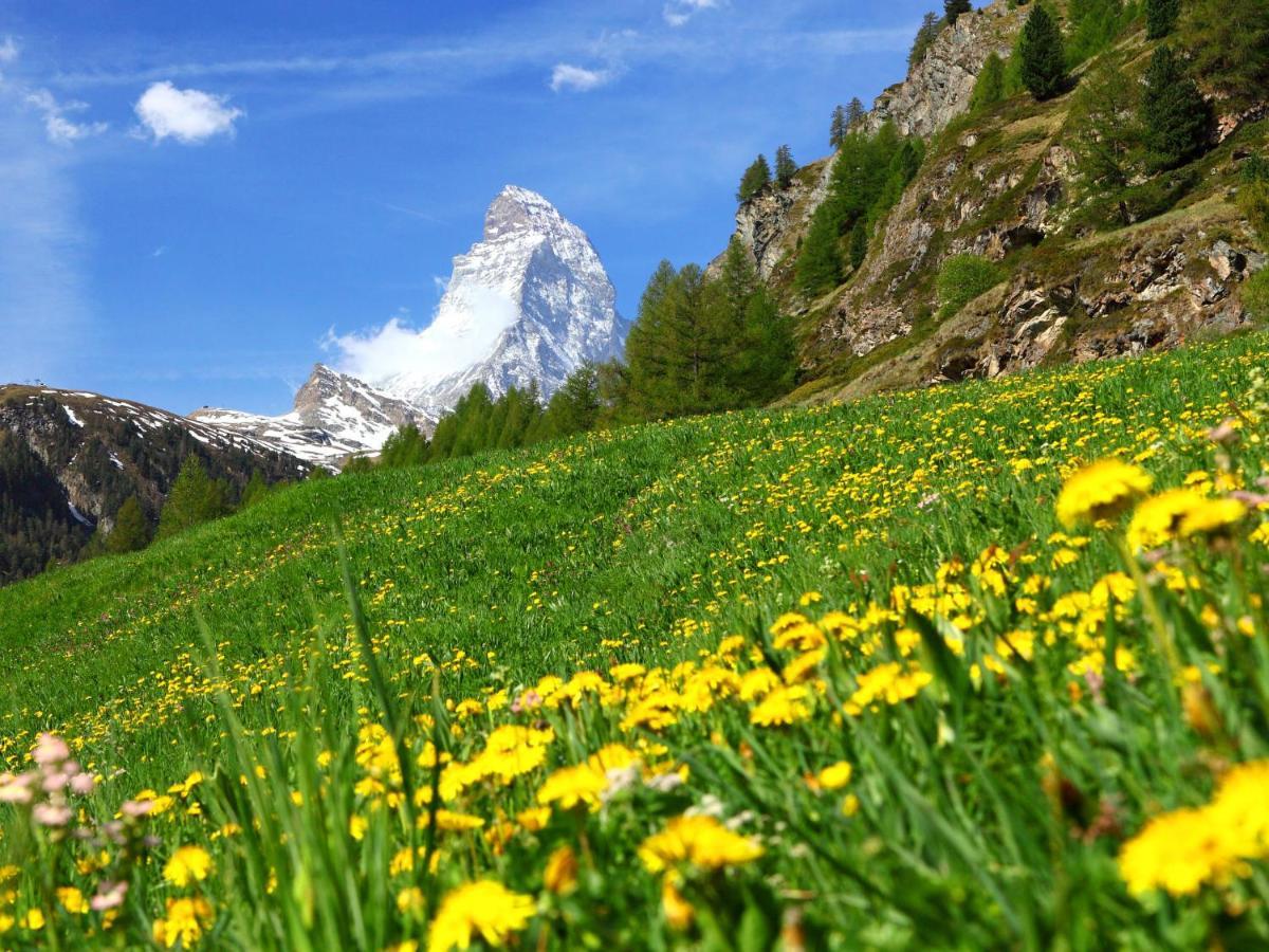 Apartment By Interhome Zermatt Dış mekan fotoğraf